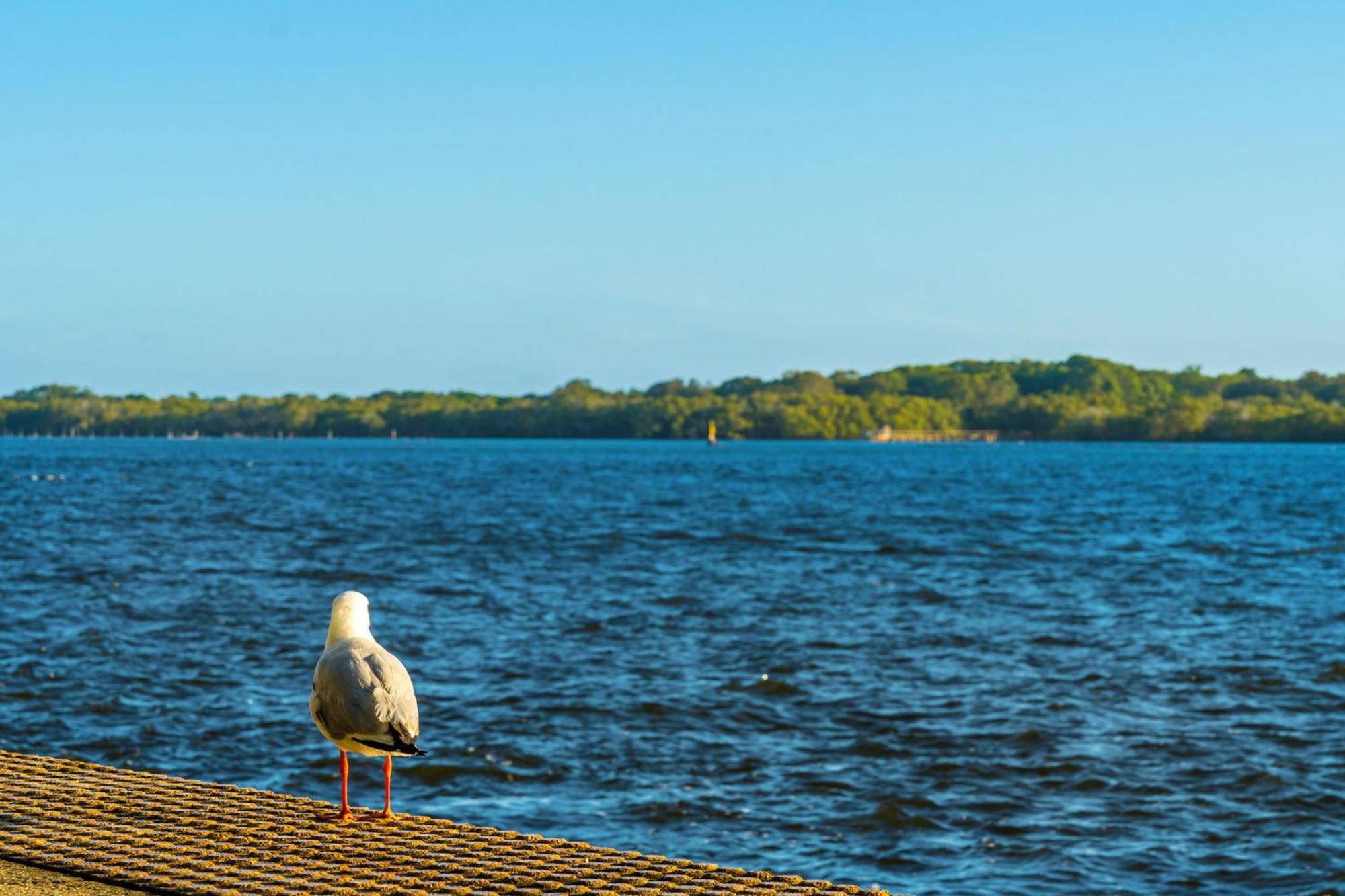 Riverside Holiday Apartments Ballina Kültér fotó